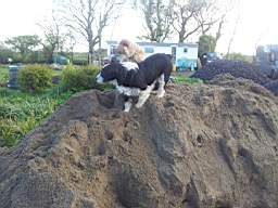 DunAbhainn  14740.jpg